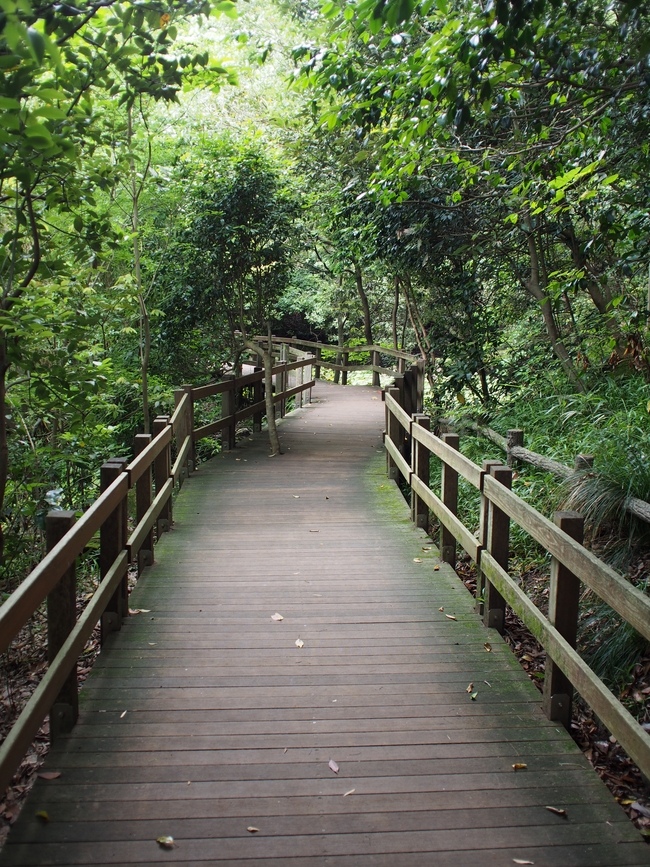 柿田川公園 木製八つ橋
