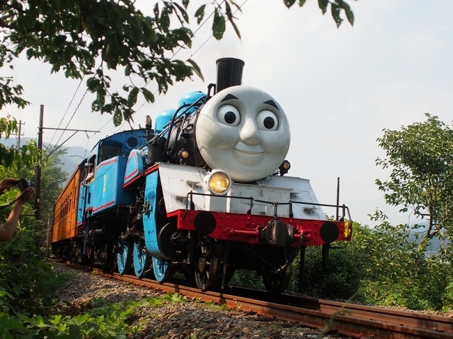 きかんしゃトーマス 大井川鐵道 リアルトーマスにニヤニヤ コジータism