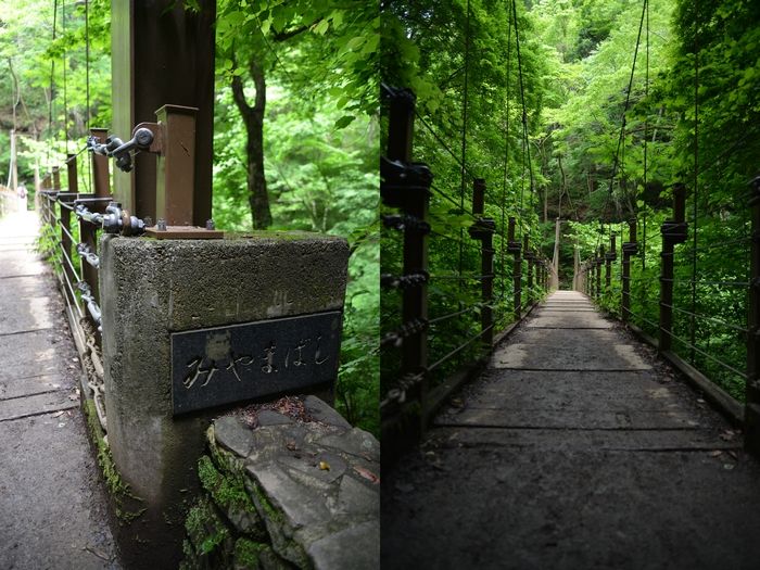 高尾山4号路の吊り橋 みやまばし