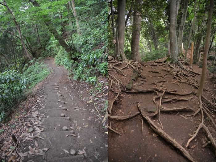 高尾山の山道 4号路