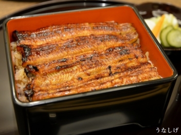 うなしげ アイキャッチ