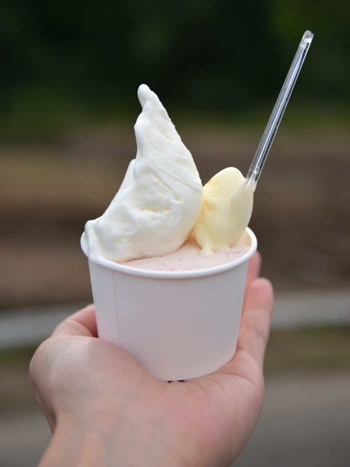 マルガージェラート ジェラート いちじく&プレミアムミルク