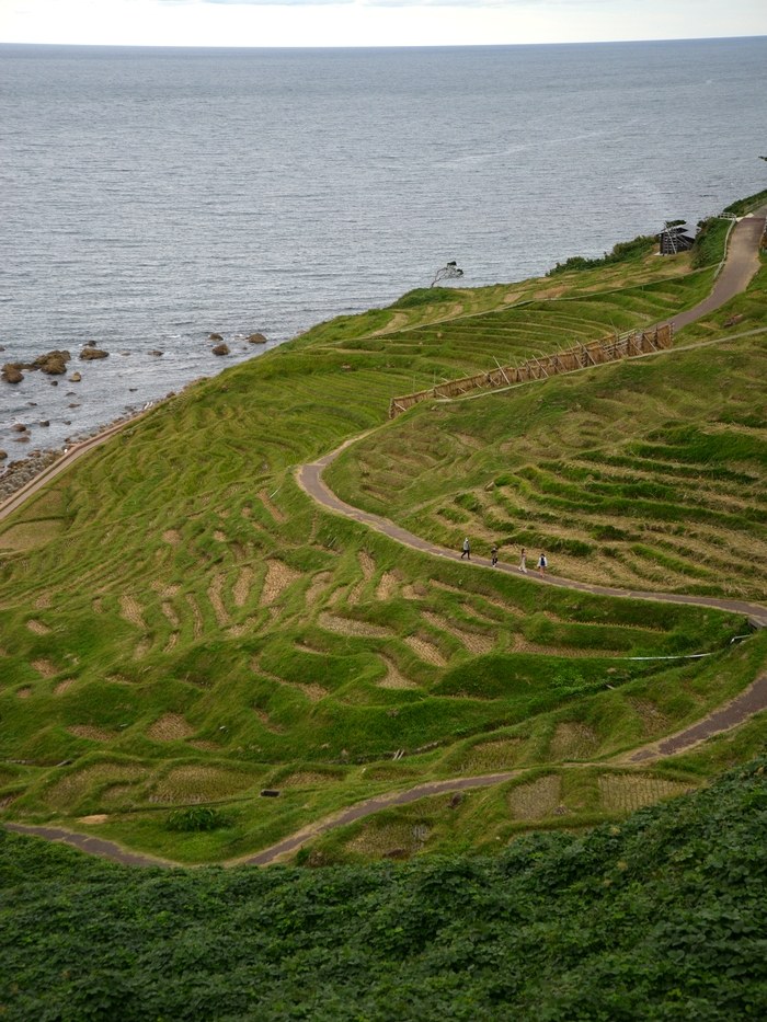 白米千枚田 ズーム