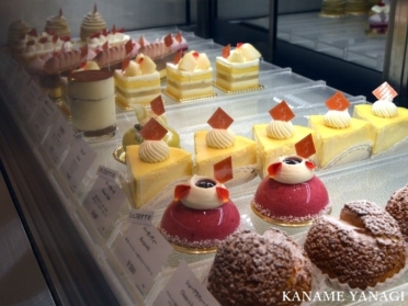 カナメヤナギ アイキャッチ