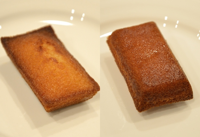 カナメヤナギ フィナンシェ