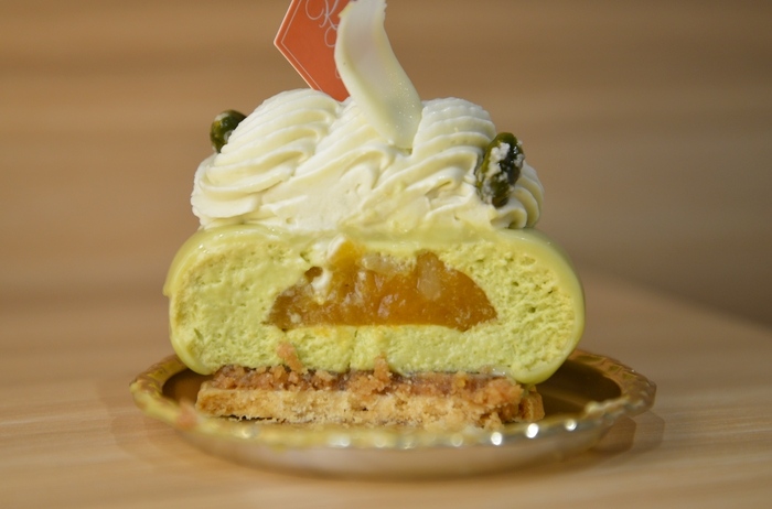 カナメヤナギ ブロンテ断面