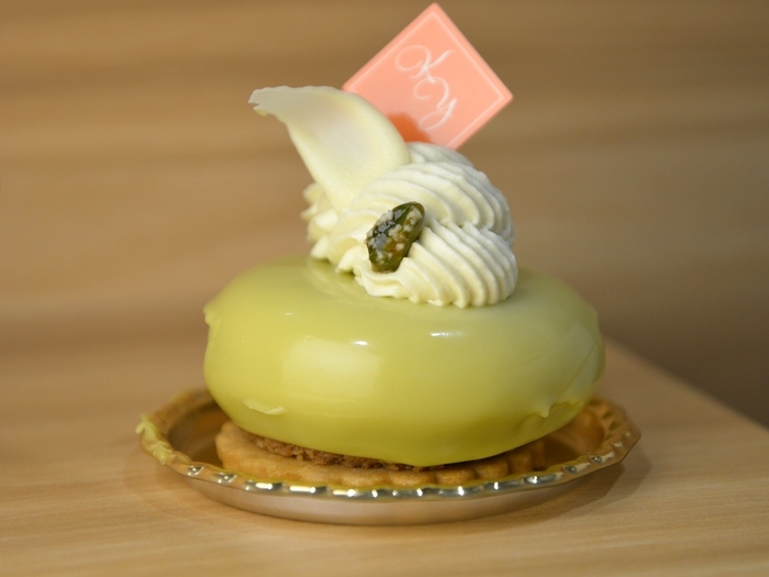 カナメヤナギ ブロンテ