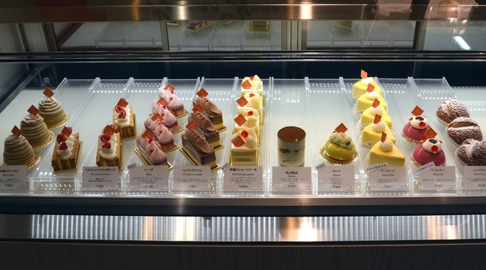 カナメヤナギ ショーケース2