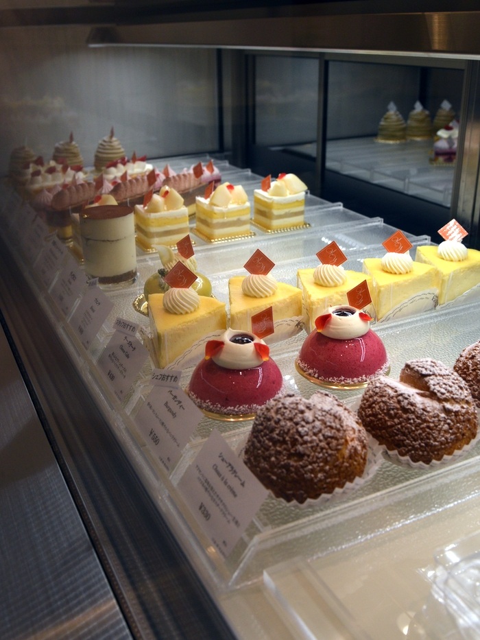 カナメヤナギ ショーケース