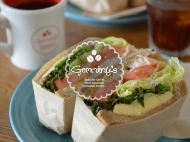 Gemminy's(ジェミニーズ) アイキャッチ